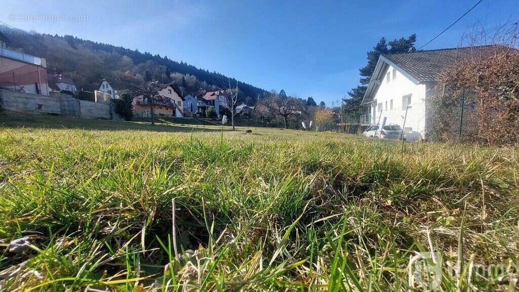 Terrain à GRENDELBRUCH