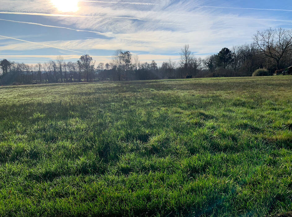 Terrain à SAINT-ANDRE-DE-CUBZAC