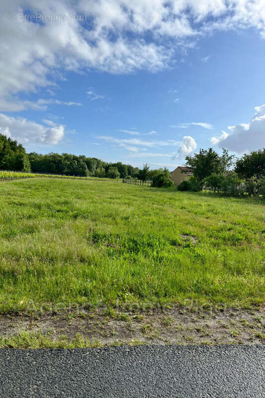 Terrain à CIVRAC-EN-MEDOC