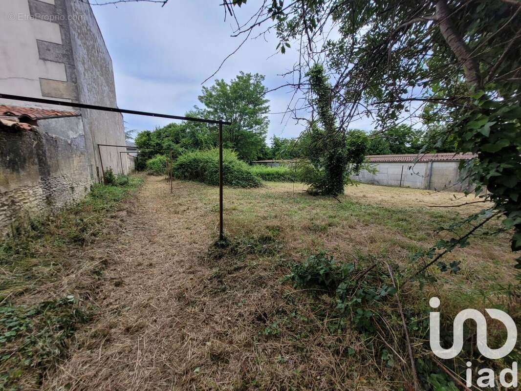 Photo 3 - Terrain à COGNAC