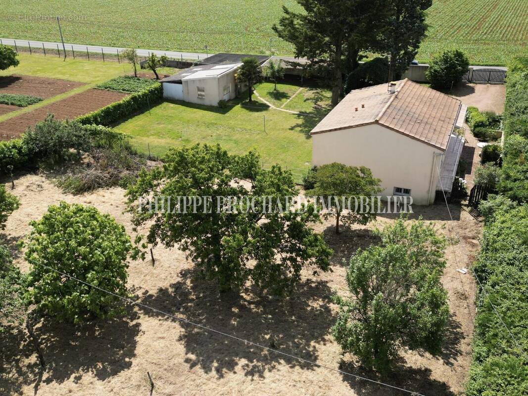 Maison à LUCON