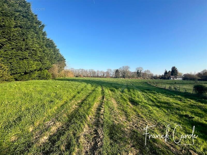Terrain à SAINT-VALERY-EN-CAUX