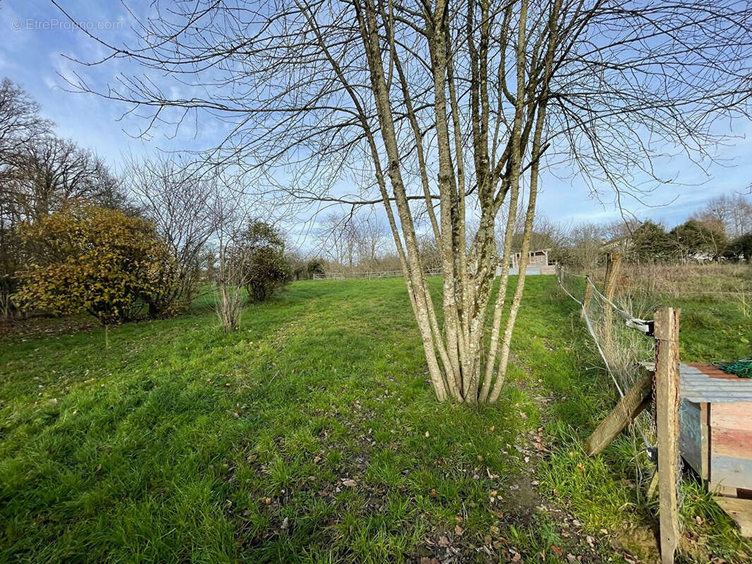 Autre à SAINTE-RADEGONDE