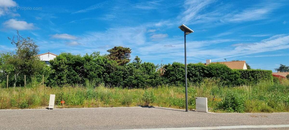 Photo 1 - Terrain à L&#039;ILE-D&#039;OLONNE