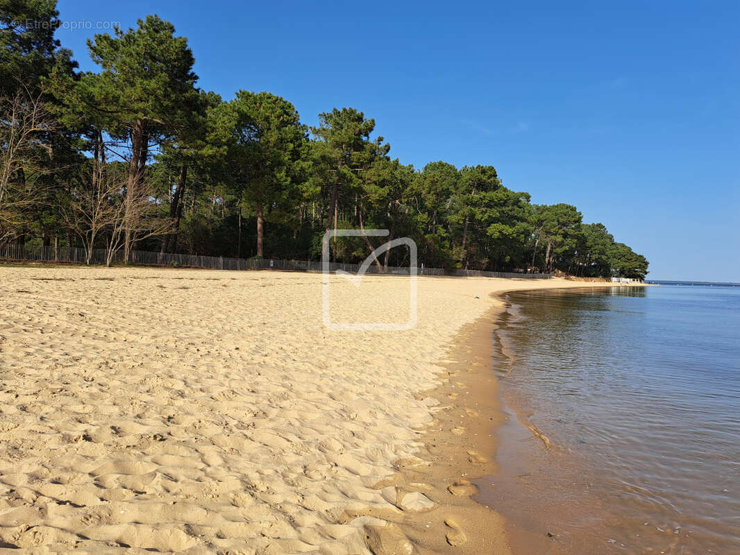 Maison à LEGE-CAP-FERRET