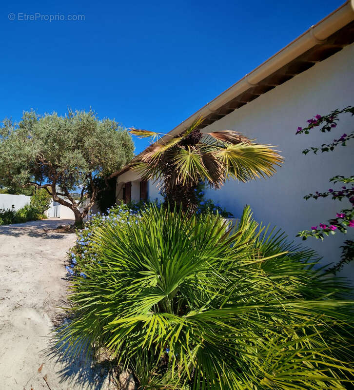 Maison à ROQUEBRUNE-SUR-ARGENS
