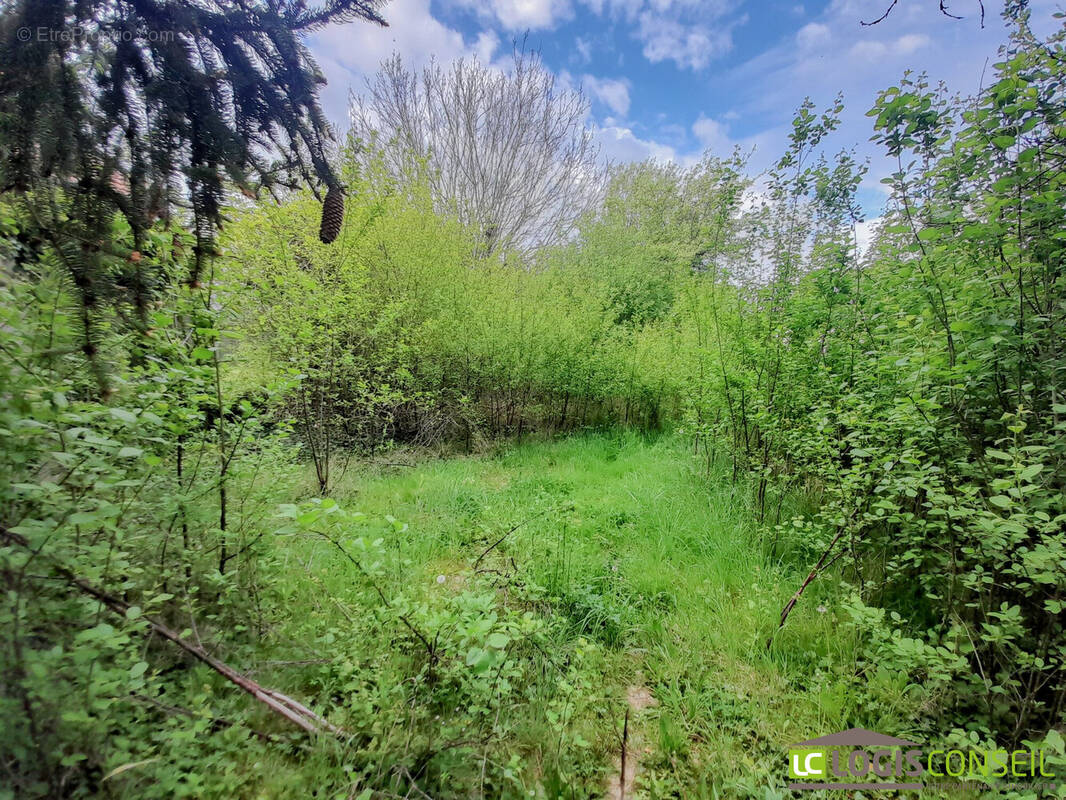 Terrain à CLAMART