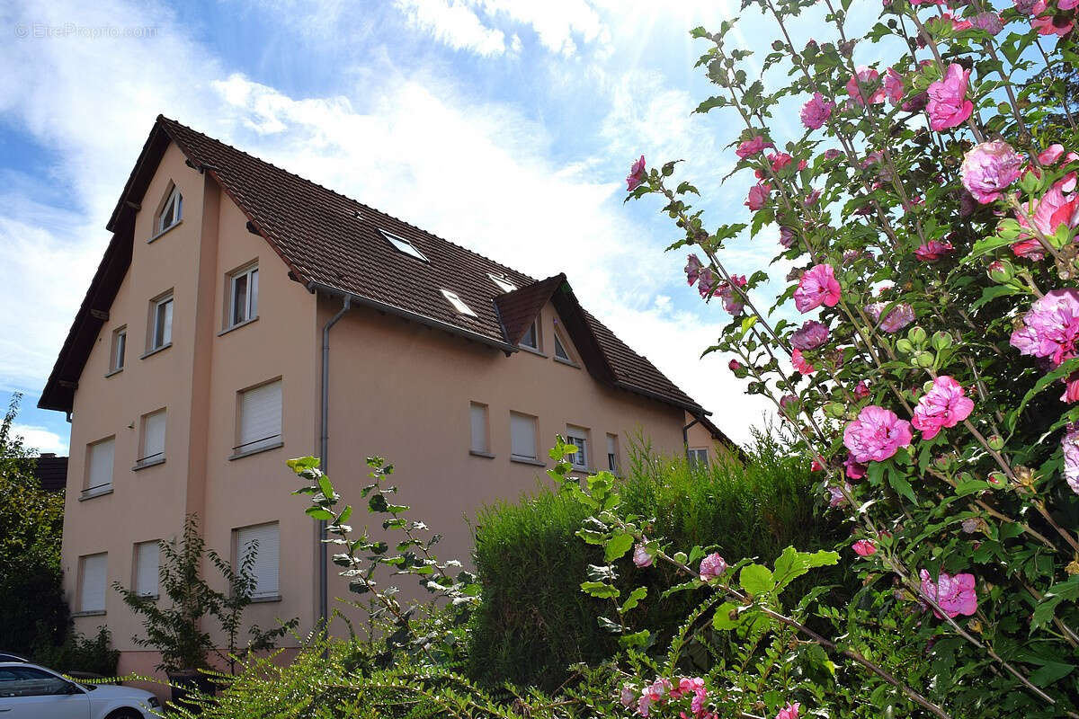 Appartement à ROUNTZENHEIM