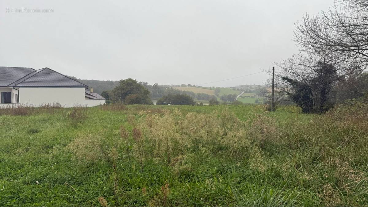 57115342a.jpg - Terrain à ARZACQ-ARRAZIGUET