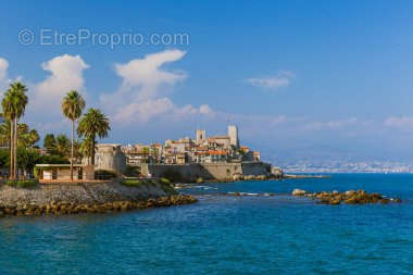 Commerce à ANTIBES