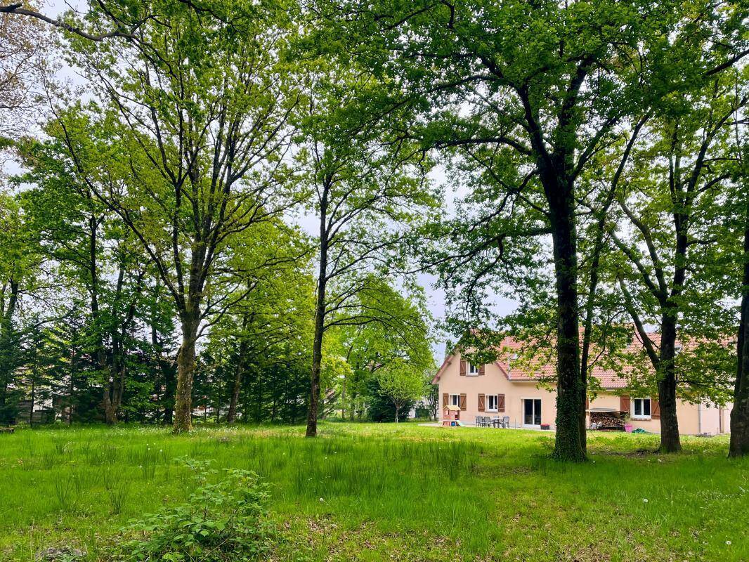 Maison à LIGNY-LE-RIBAULT