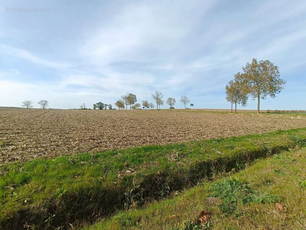 Terrain à MIRAMBEAU