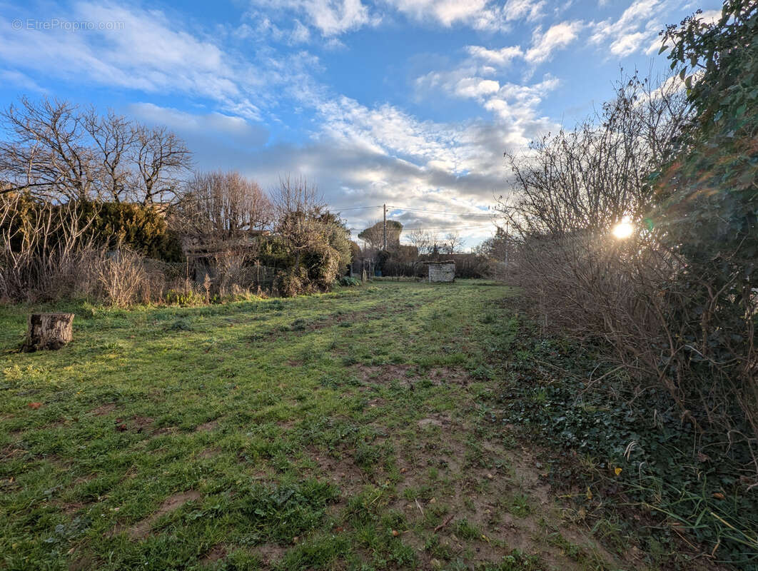 Terrain à CHARMES-SUR-RHONE