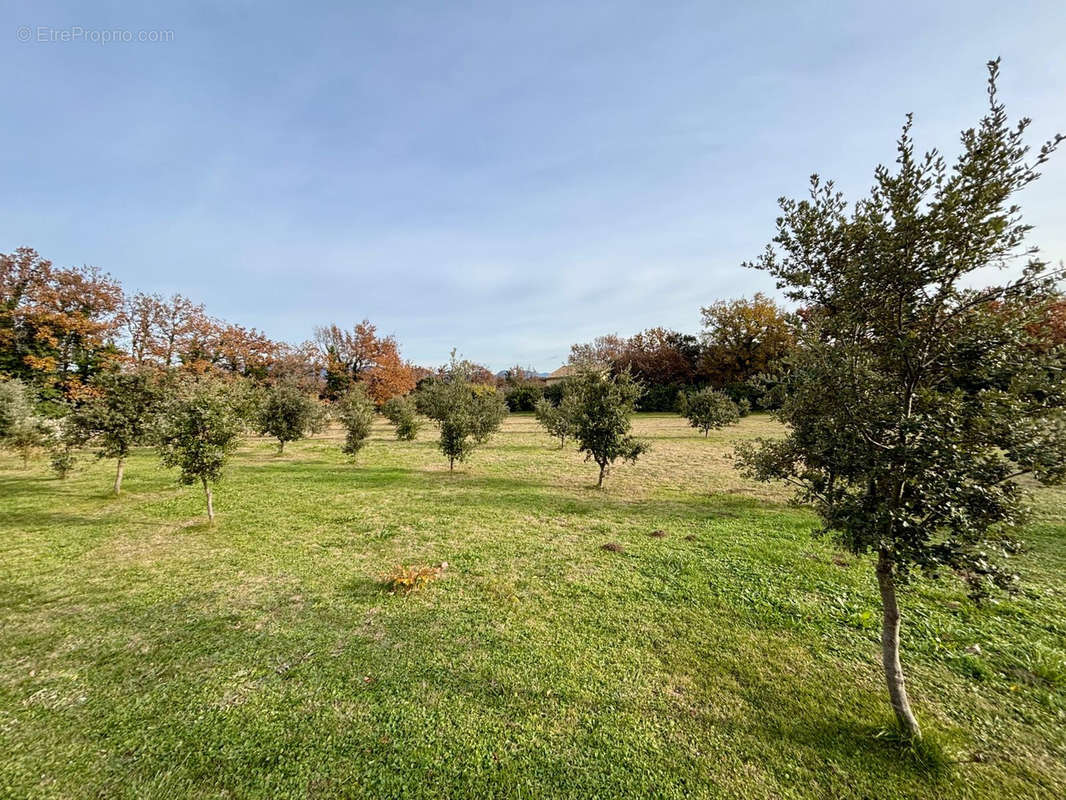 Terrain à GRIGNAN