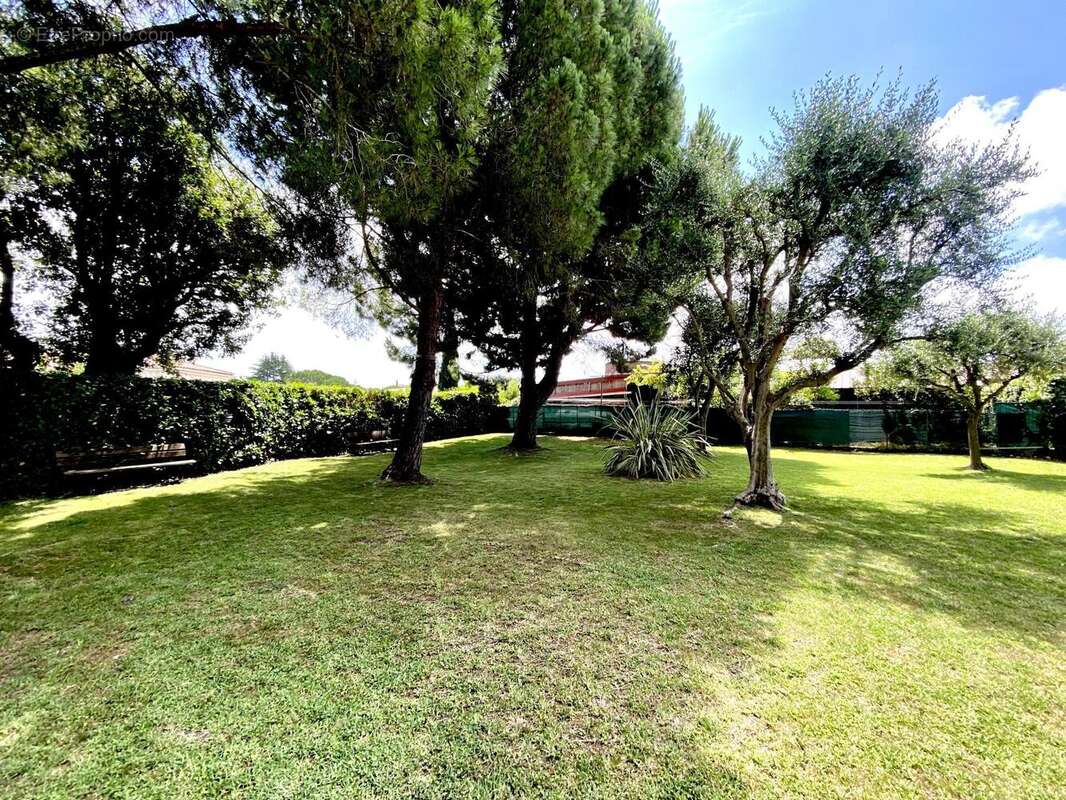 Photo 9 - Appartement à ANTIBES