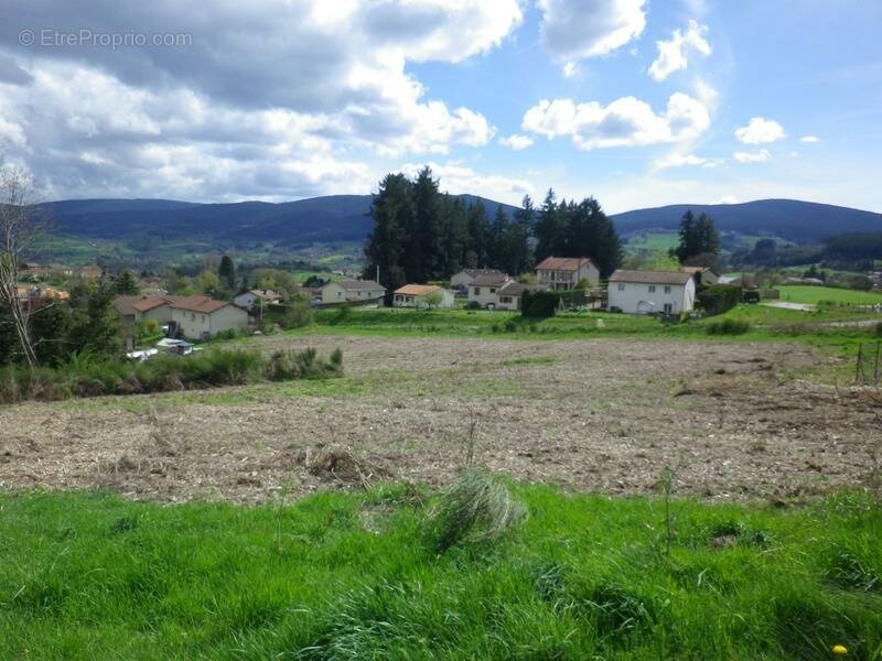 Terrain à NOIRETABLE