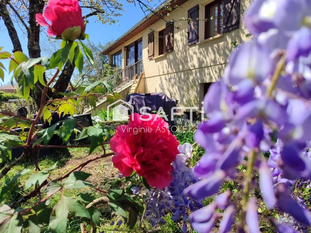 Photo 1 - Maison à SAINT-LYS