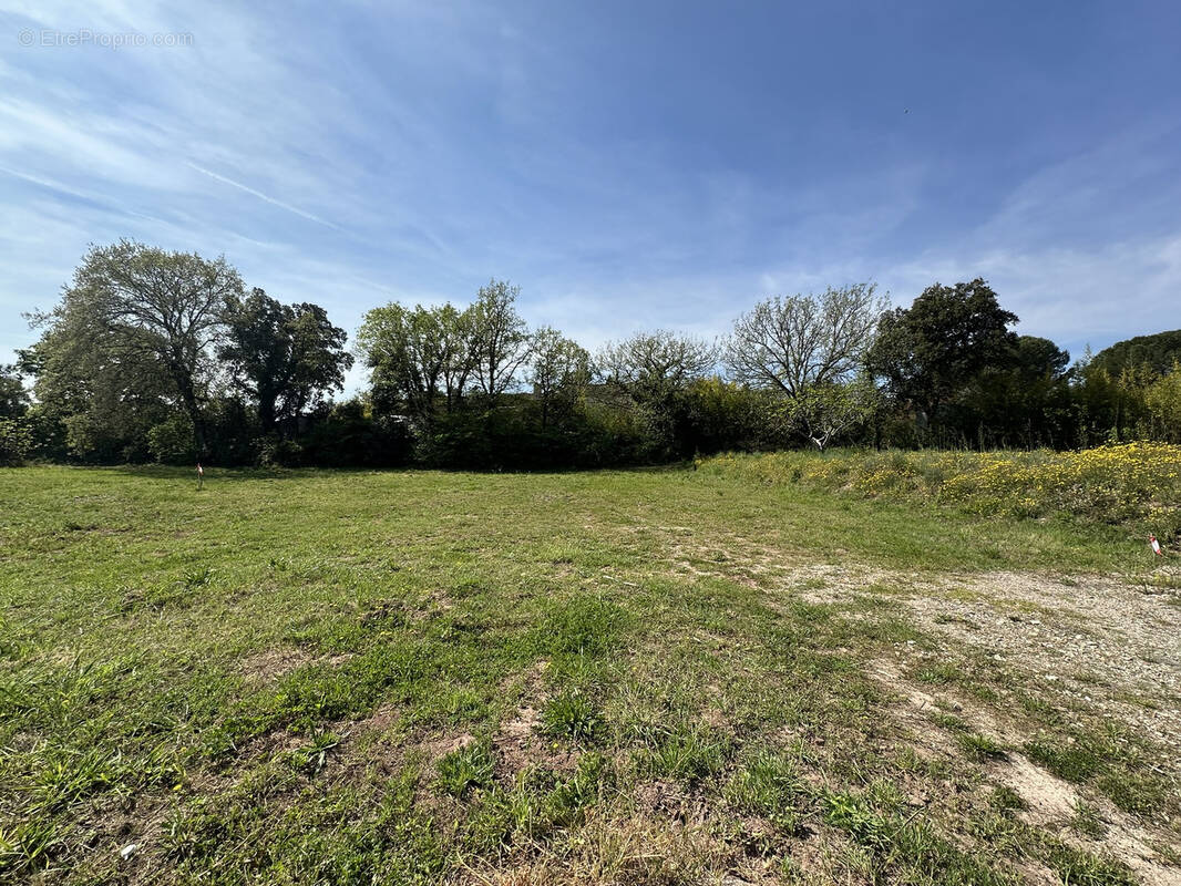 Terrain à PUGET-SUR-ARGENS