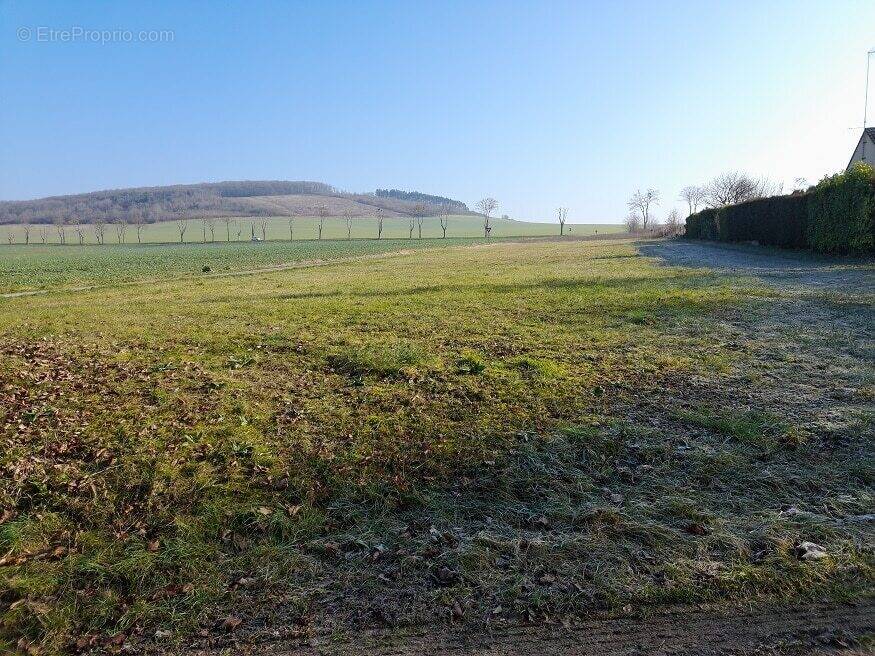 Terrain à CHOUPPES