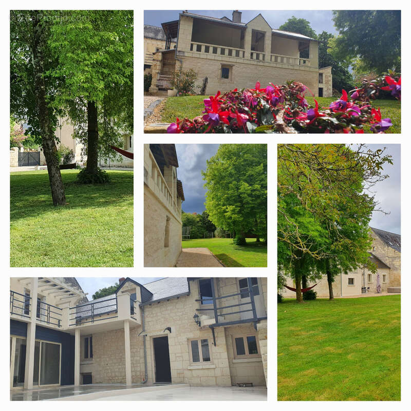 Maison à FONTEVRAUD-L&#039;ABBAYE
