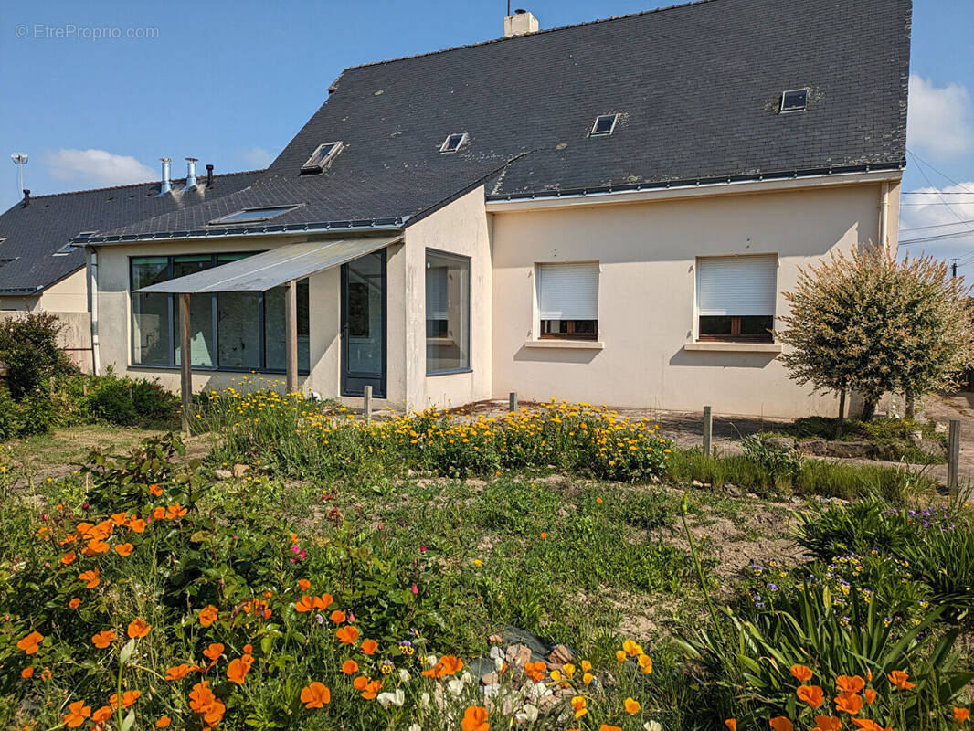 Maison à FEREL