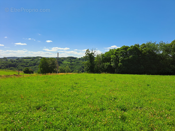 Terrain à BRIVE-LA-GAILLARDE