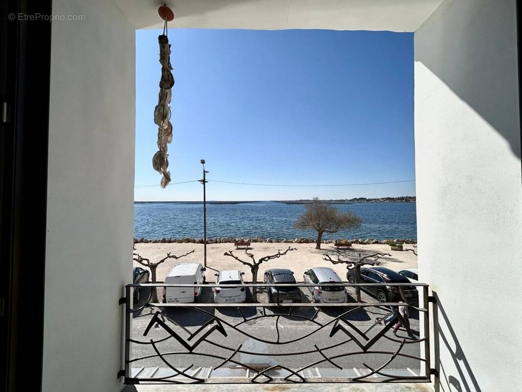 Appartement à BOUZIGUES