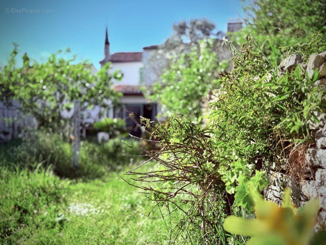 Maison à ARS-EN-RE
