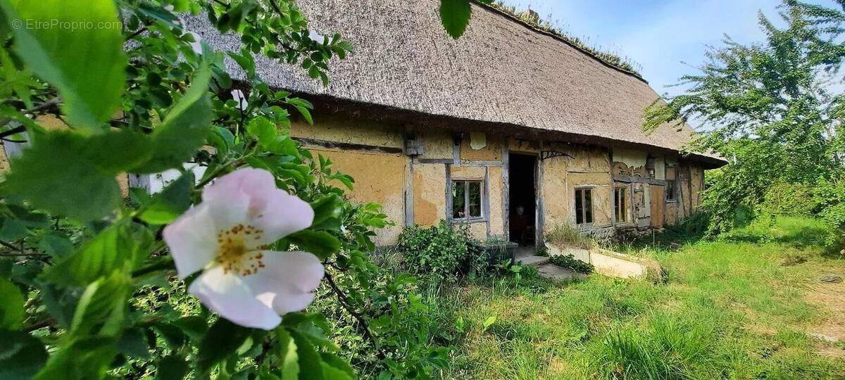 Maison à LA BARRE-EN-OUCHE