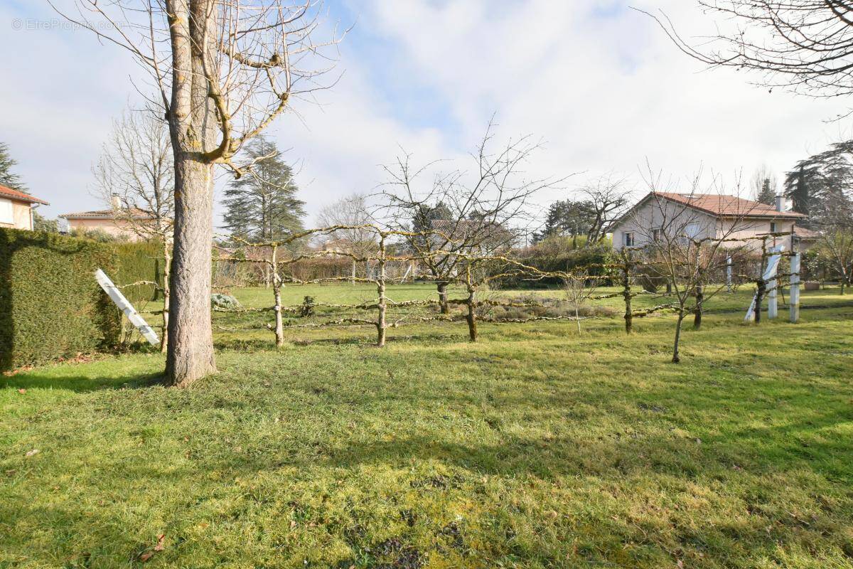 Maison à ECULLY