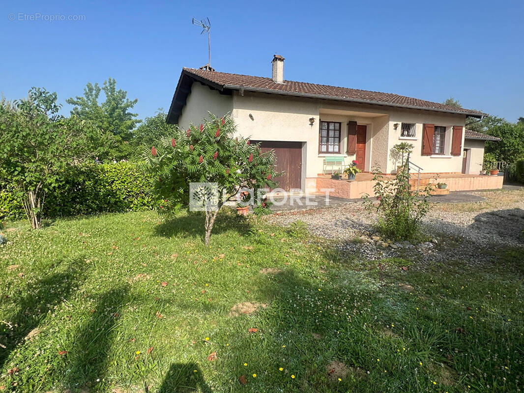 Maison à GAILLAC