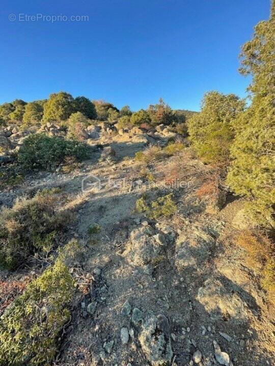 Terrain à CATLLAR
