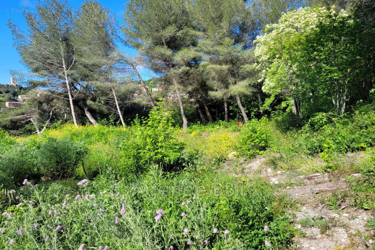 Terrain à LA TURBIE