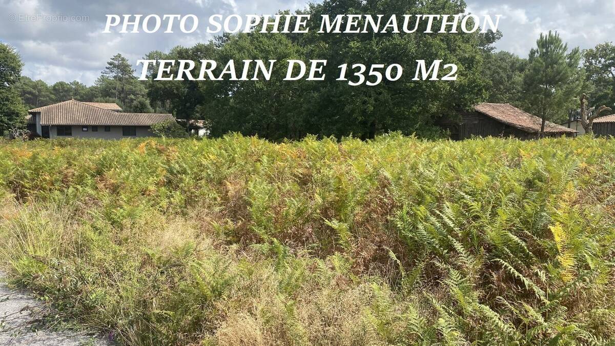 Terrain à MOLIETS-ET-MAA