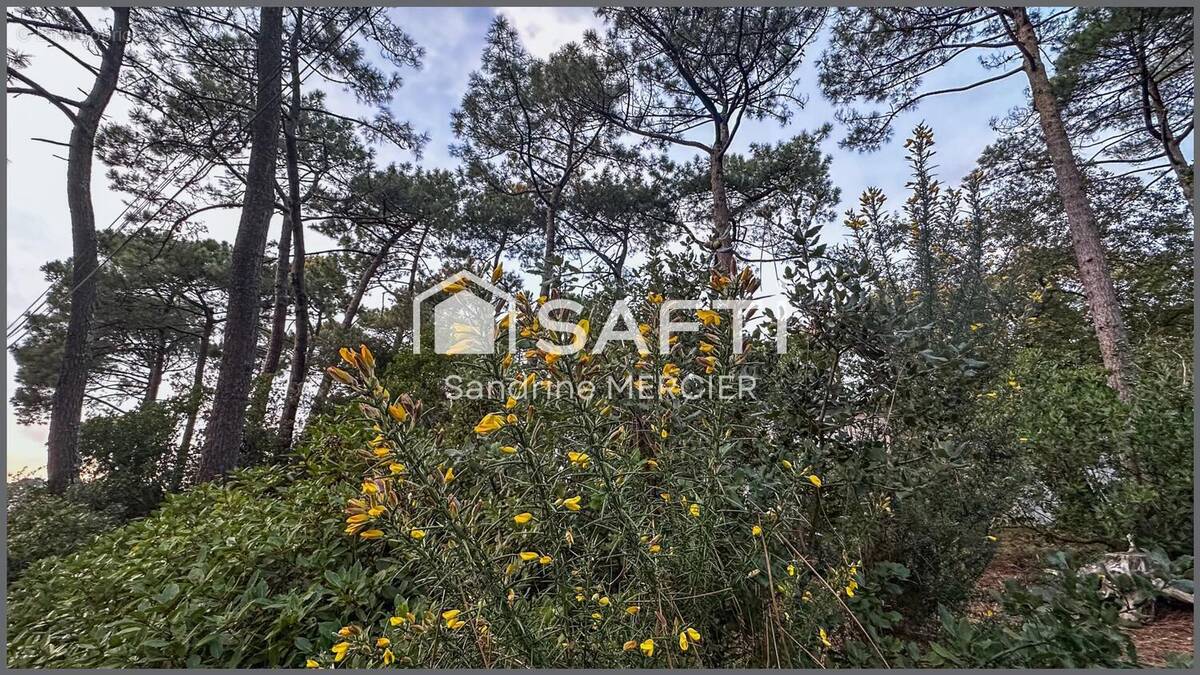 Photo 1 - Maison à ARCACHON