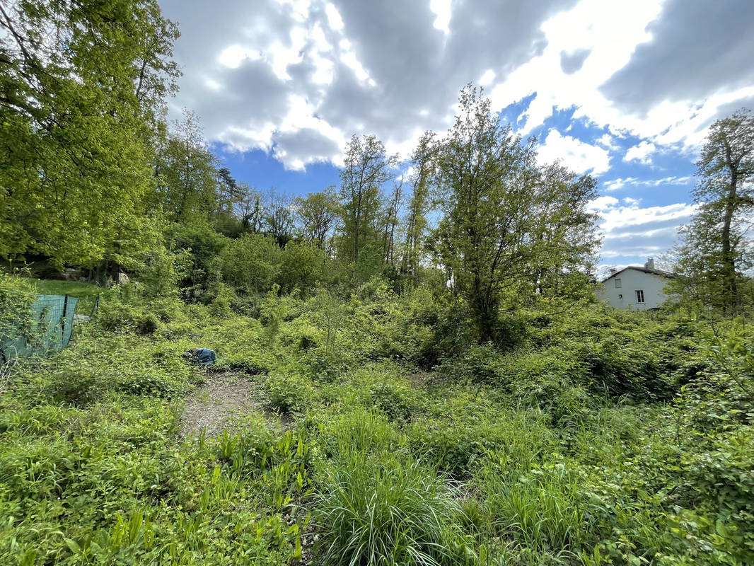 Terrain à BAGNEAUX-SUR-LOING