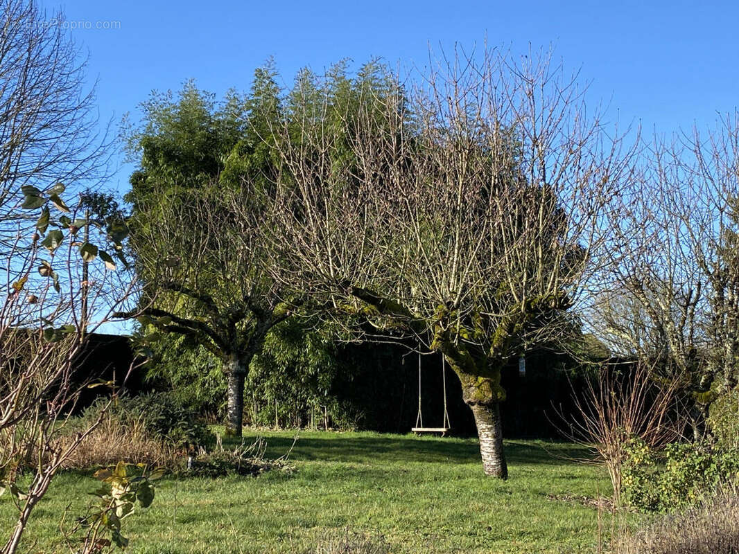 JARDIN - Maison à AUBETERRE-SUR-DRONNE