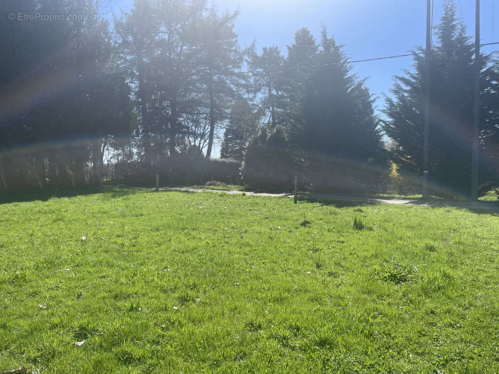 Terrain à MASSERET