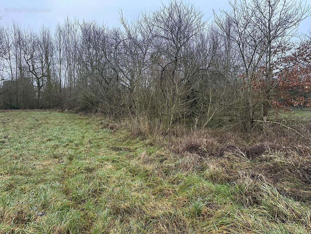 Terrain à NAVEIL