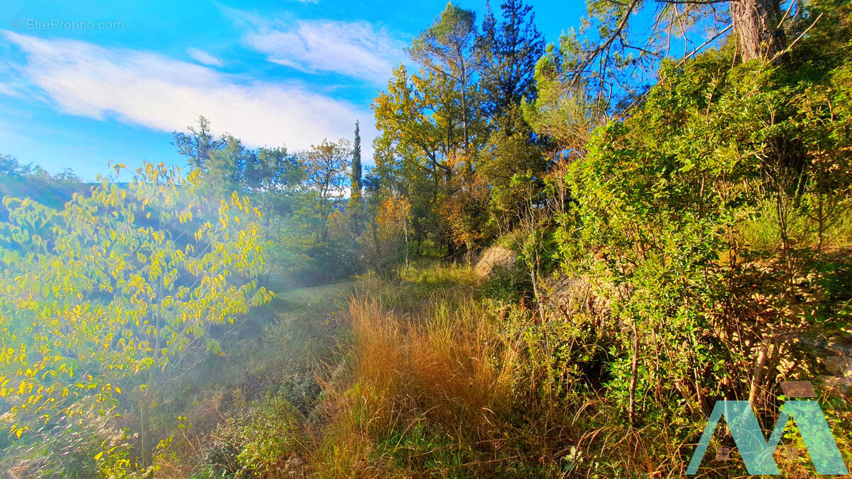 Terrain à SIGNES