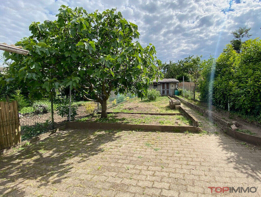 Maison à VIEUX-THANN