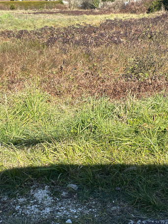 Terrain à LE TAILLAN-MEDOC