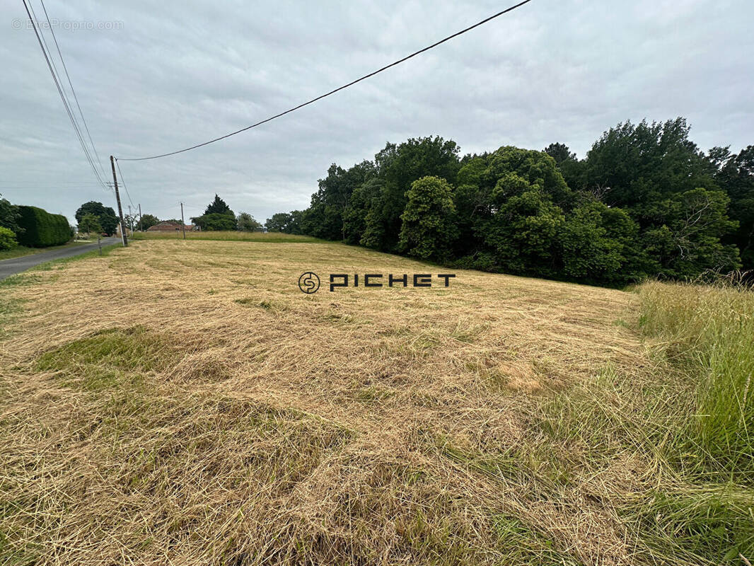 Terrain à MONTAGNAC-LA-CREMPSE