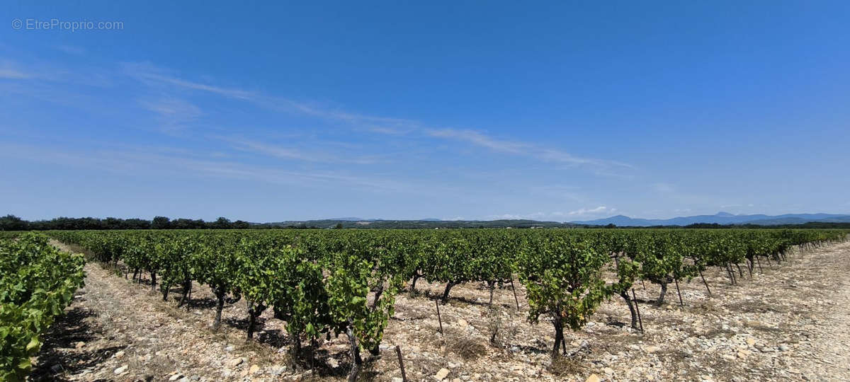 Terrain à VISAN