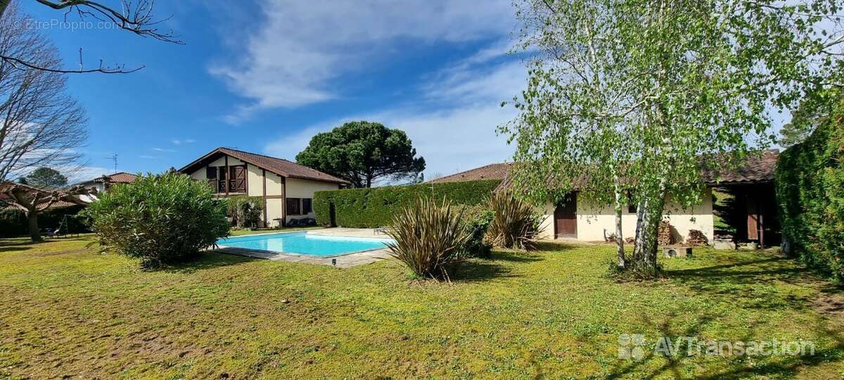 Maison à TOSSE