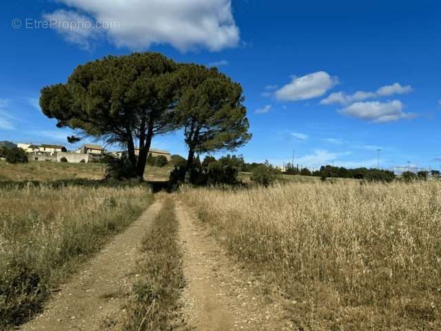 Terrain à AUTIGNAC