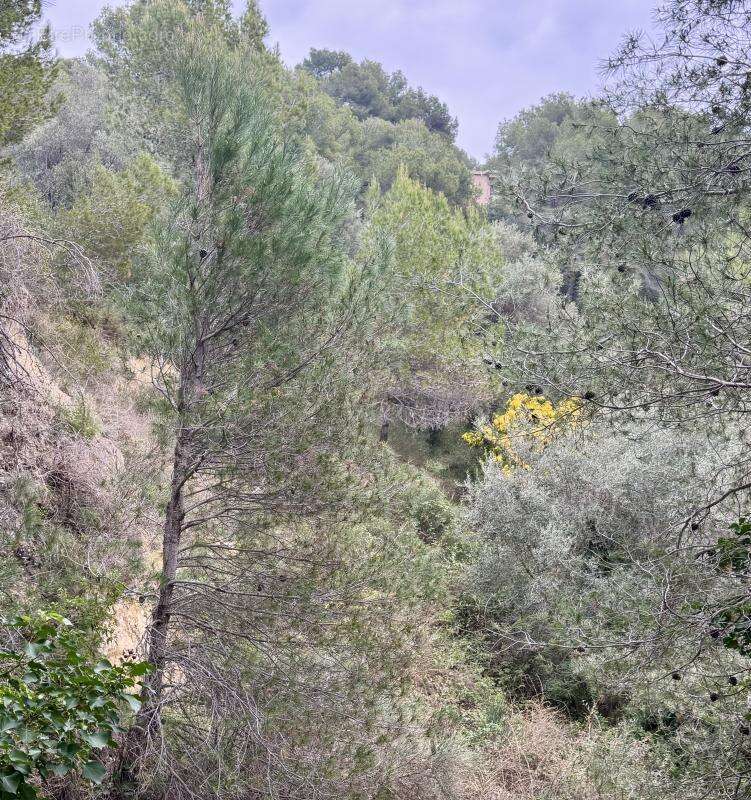 Terrain à COLOMARS