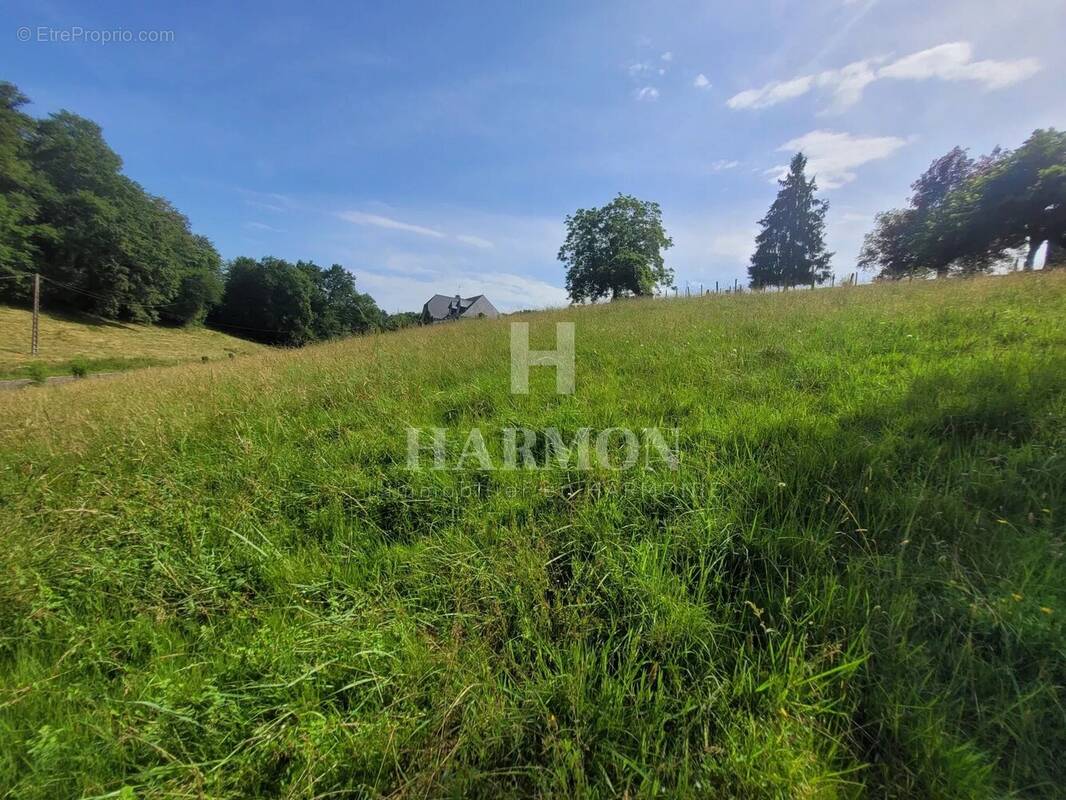 Terrain à ESQUIULE