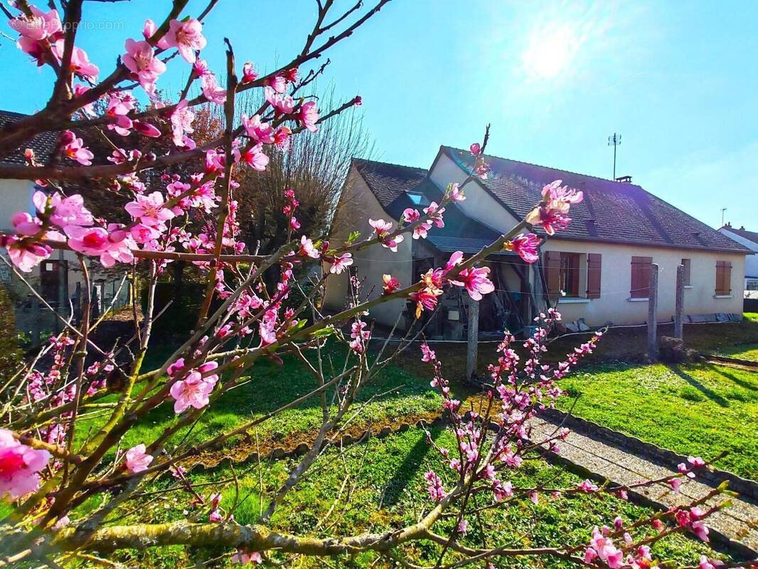 Photo 1 - Maison à LA FLECHE