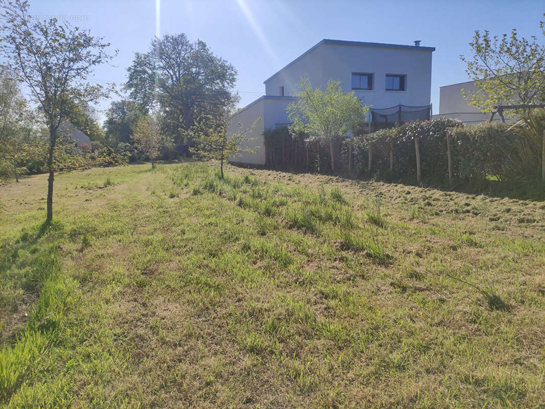 Terrain à DREFFEAC